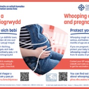 Whooping Cough Vaccination